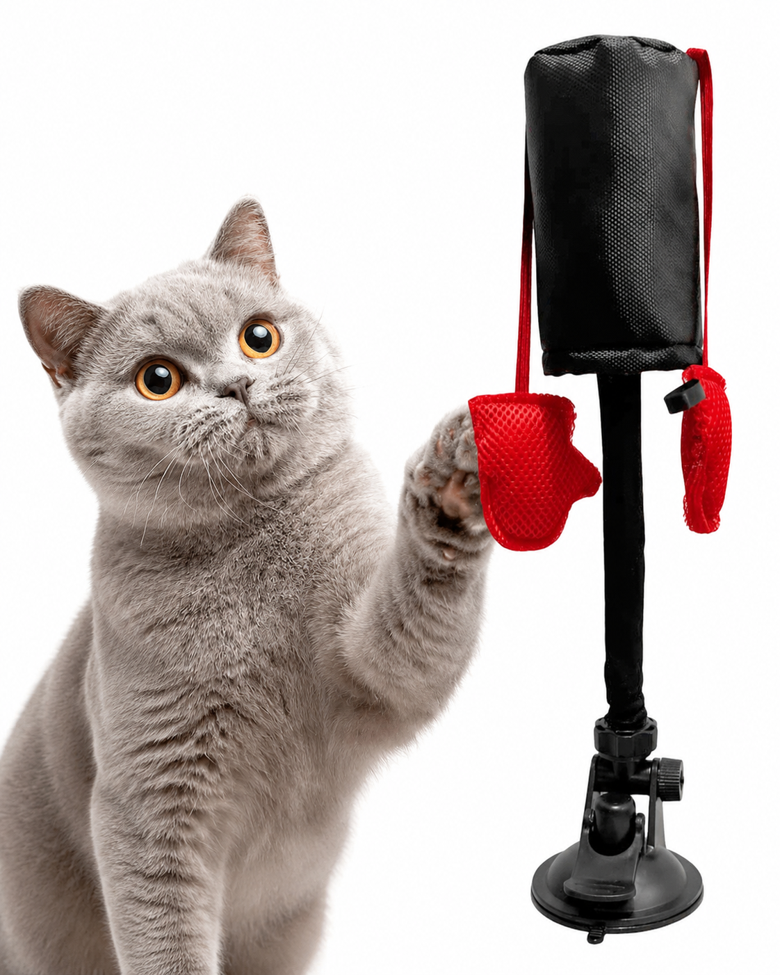 Cat Boxing Game Cat Teaser Toy Pet Products