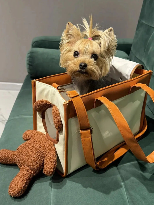 Creative Pet Carry Bag Large Capacity Outdoor One-Shoulder Tilt Straddle Tote Cat Bag Small Dog Brown Bear Bag