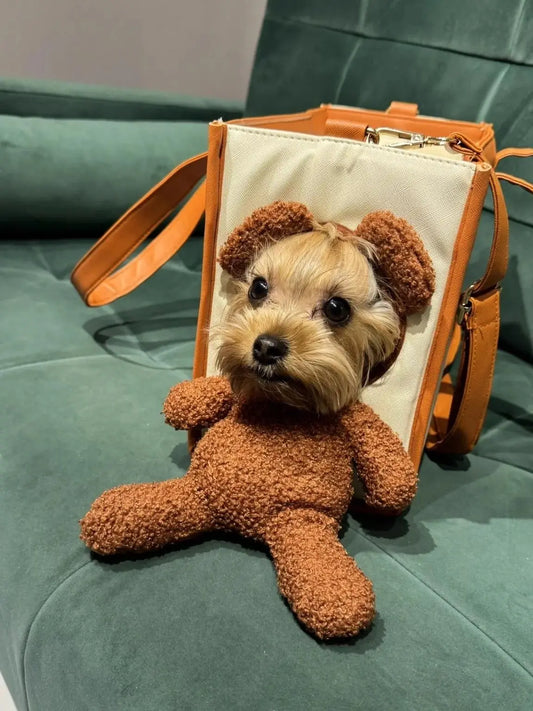 Creative Pet Carry Bag Large Capacity Outdoor One-Shoulder Tilt Straddle Tote Cat Bag Small Dog Brown Bear Bag
